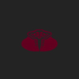 Chärmin's guild emblem