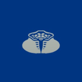 Casper's guild emblem