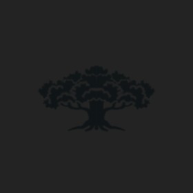 Axion's guild emblem