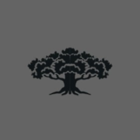 Anamality's guild emblem