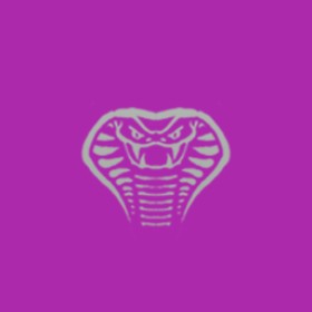 Junhyeok's guild emblem