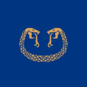 Discopenguin's guild emblem