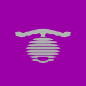 Damagelord's guild emblem