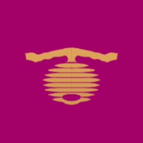 Shimhaehae's guild emblem