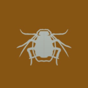 Monqi's guild emblem