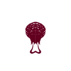 Supersoakem's guild emblem