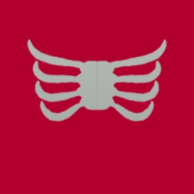 Xok's guild emblem