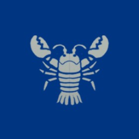 Ticklefiesta's guild emblem