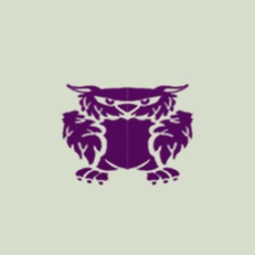 Noodlestang's guild emblem