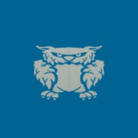 Bearyhallsjr's guild emblem