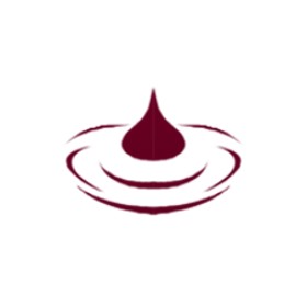 Chaosfox's guild emblem