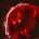 흡혈의 구
