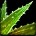 Swiftthistle