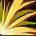 Sungrass x2