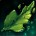 Adventures: Leaves in the Forest