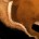 Aged Kodo Hide