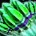 Large Green Rocket Cluster