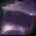 Shadowcat Hide x8
