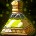 Limited Invulnerability Potion