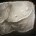 Ados Fragment