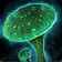 Mycolic Medicine icon