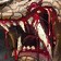 Rampant Ferocity