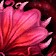 Efflorescence
