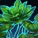 Bounteous Bloom
