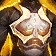 Vest of the Void's Embrace icon