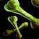 Bone Collector