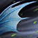 Heavy Wingbeats