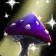 Wild Mushroom