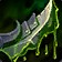 Poisoner's Drive