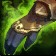Forager's Gloves icon