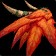 Spaulders of Arrow's Flight icon