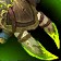 Tomb-Creeper's Claw icon