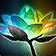 Lotus Infusion