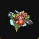 Drake Kebab Platter icon