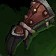 Farwatch Grips icon