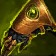 Xorothian Gauntlets icon