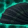 Bilgeswabby Sea Rag icon