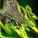 Aldrachi Blasphemer's Mantle icon