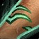 Ferocious Gladiator's Ironskin Wristguards icon