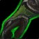 Gloves of the Uncrowned icon