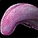 Long Fibrous Tongue icon