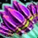 Large Purple Rocket Cluster