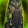 Wild Gladiator's Ringmail Armor icon