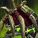 Primal Gladiator's Felweave Amice icon