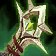 Wrathful Gladiator's Greatsword icon