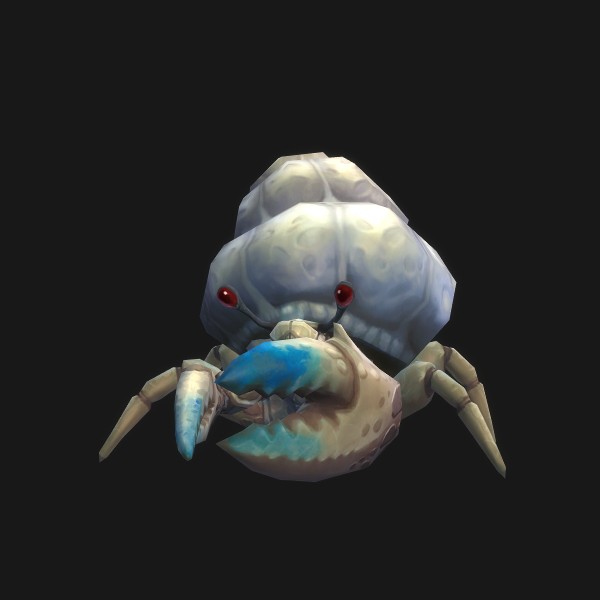 Hermit Crab